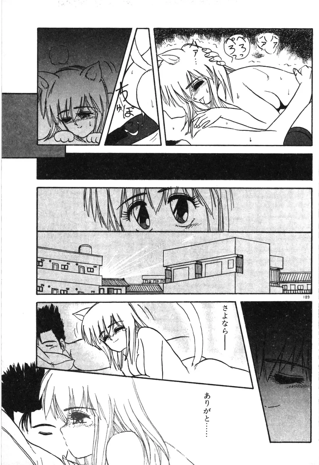 Page 191