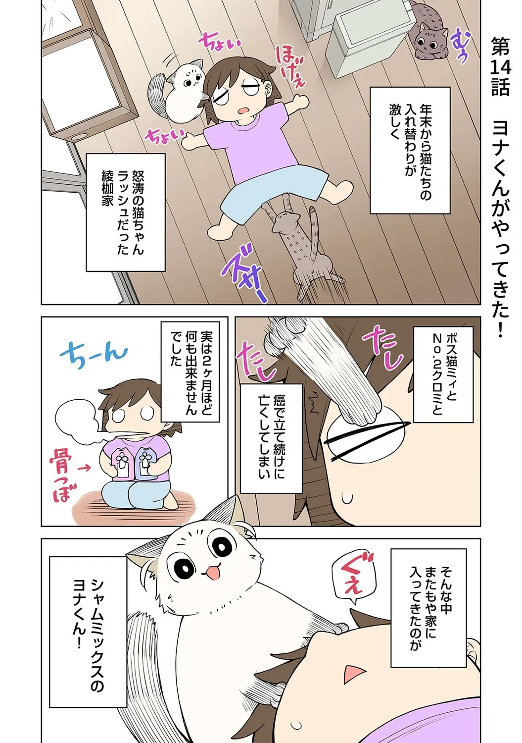 Page 222