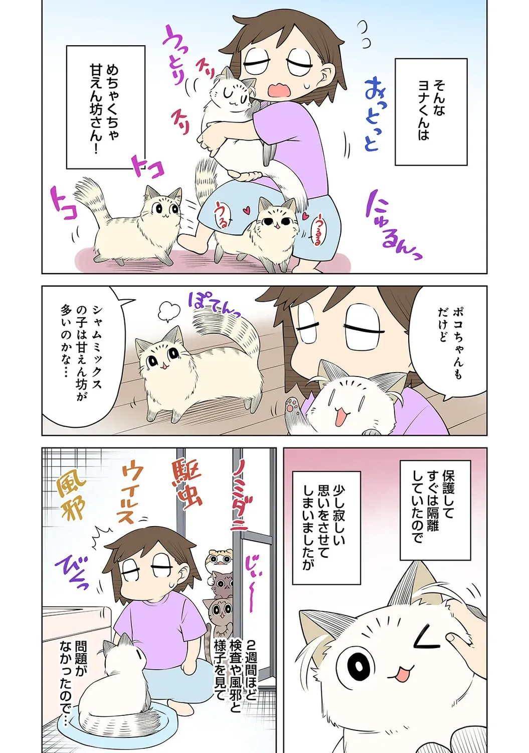 Page 224