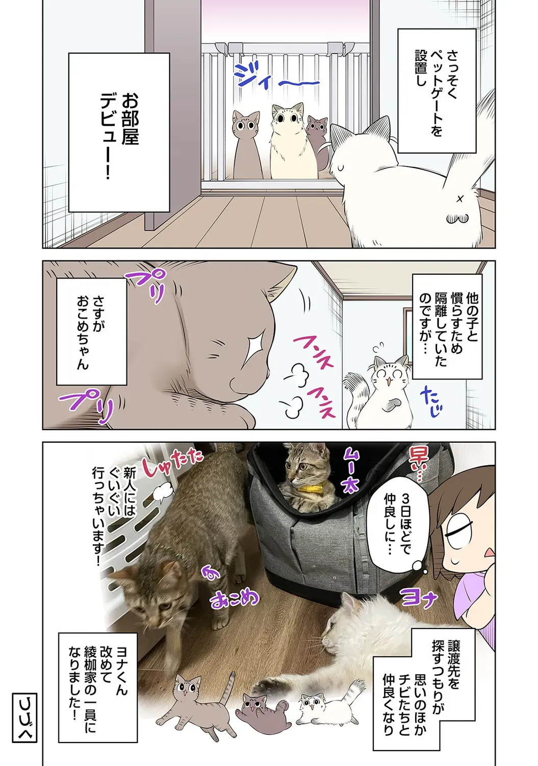 Page 225