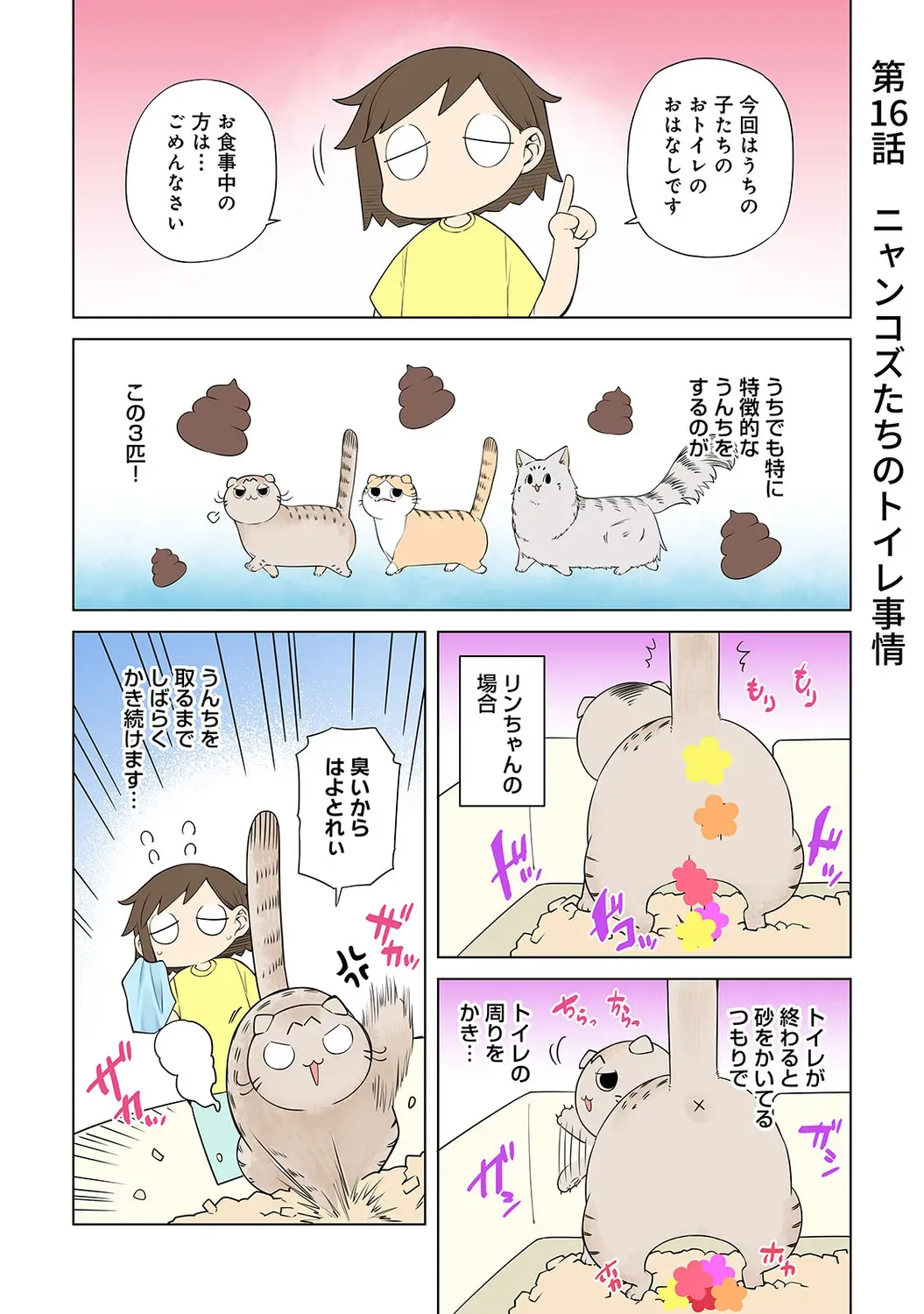 Page 244