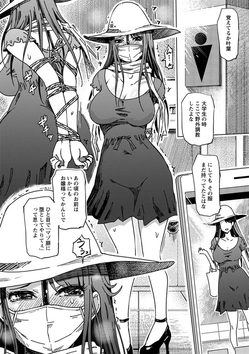 Page 233