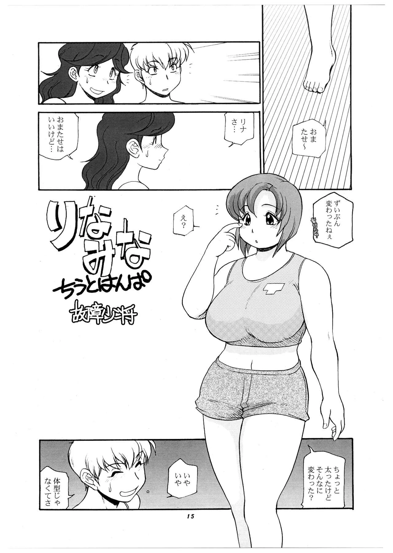 Page 14