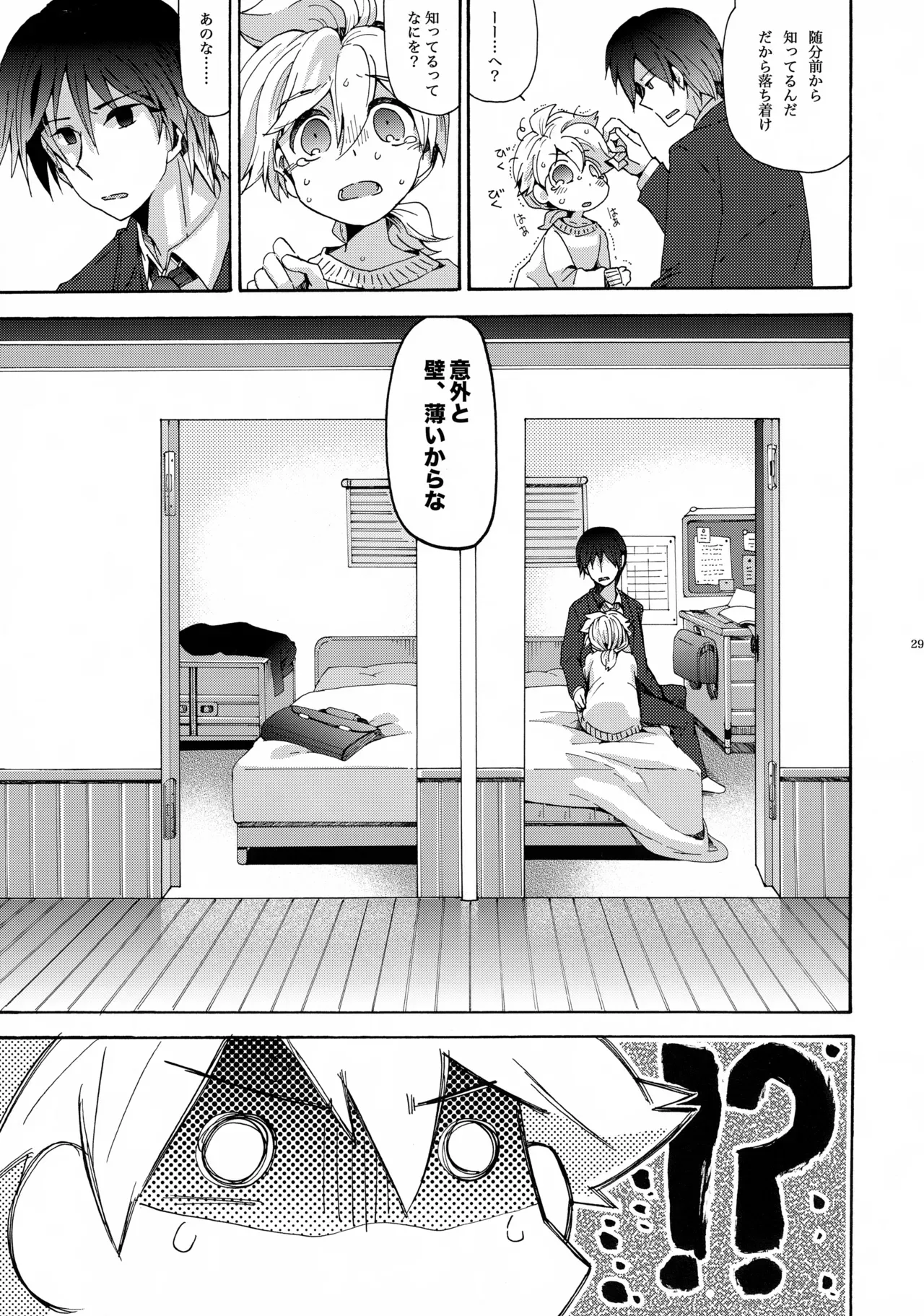 Page 29