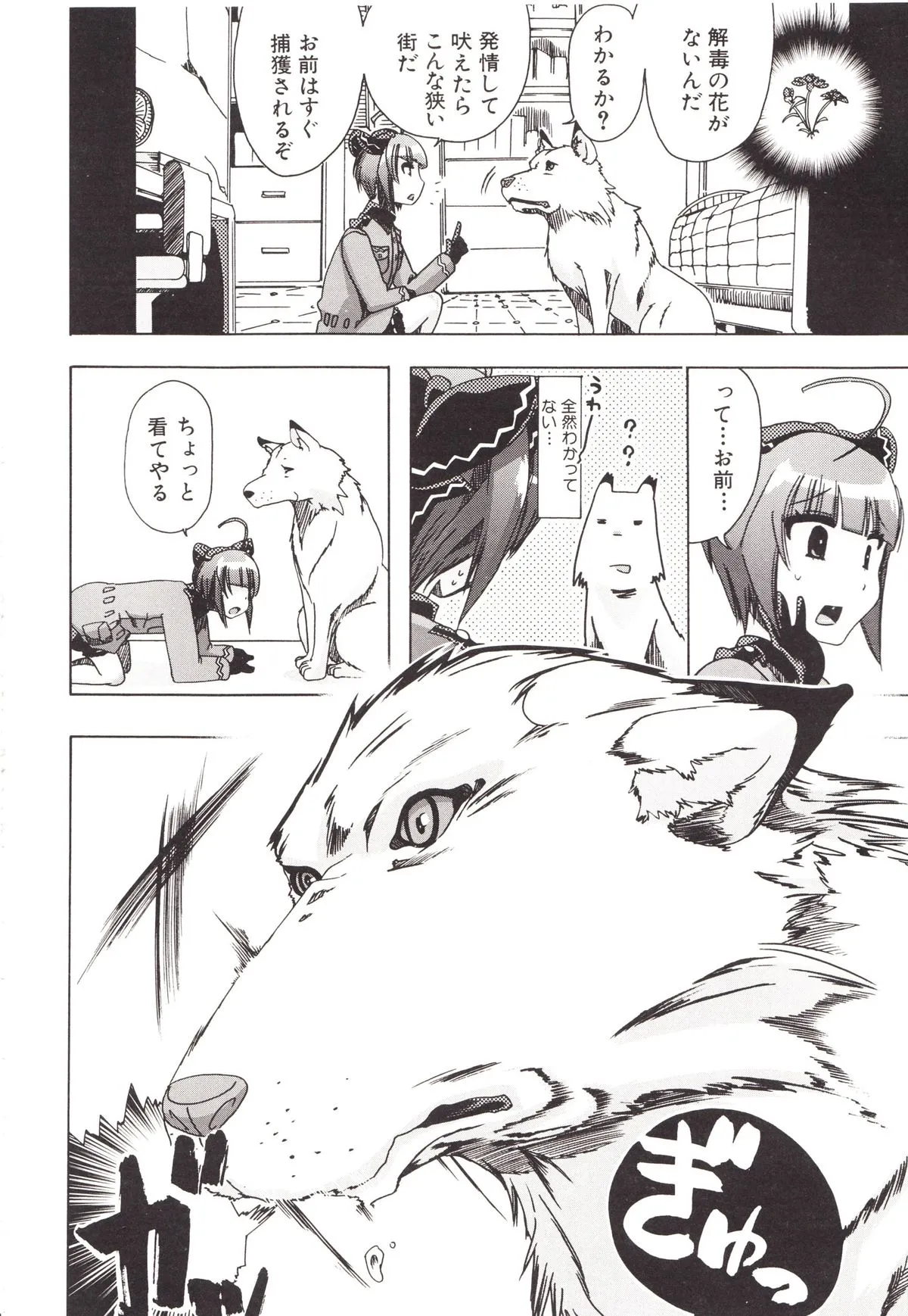 Page 51