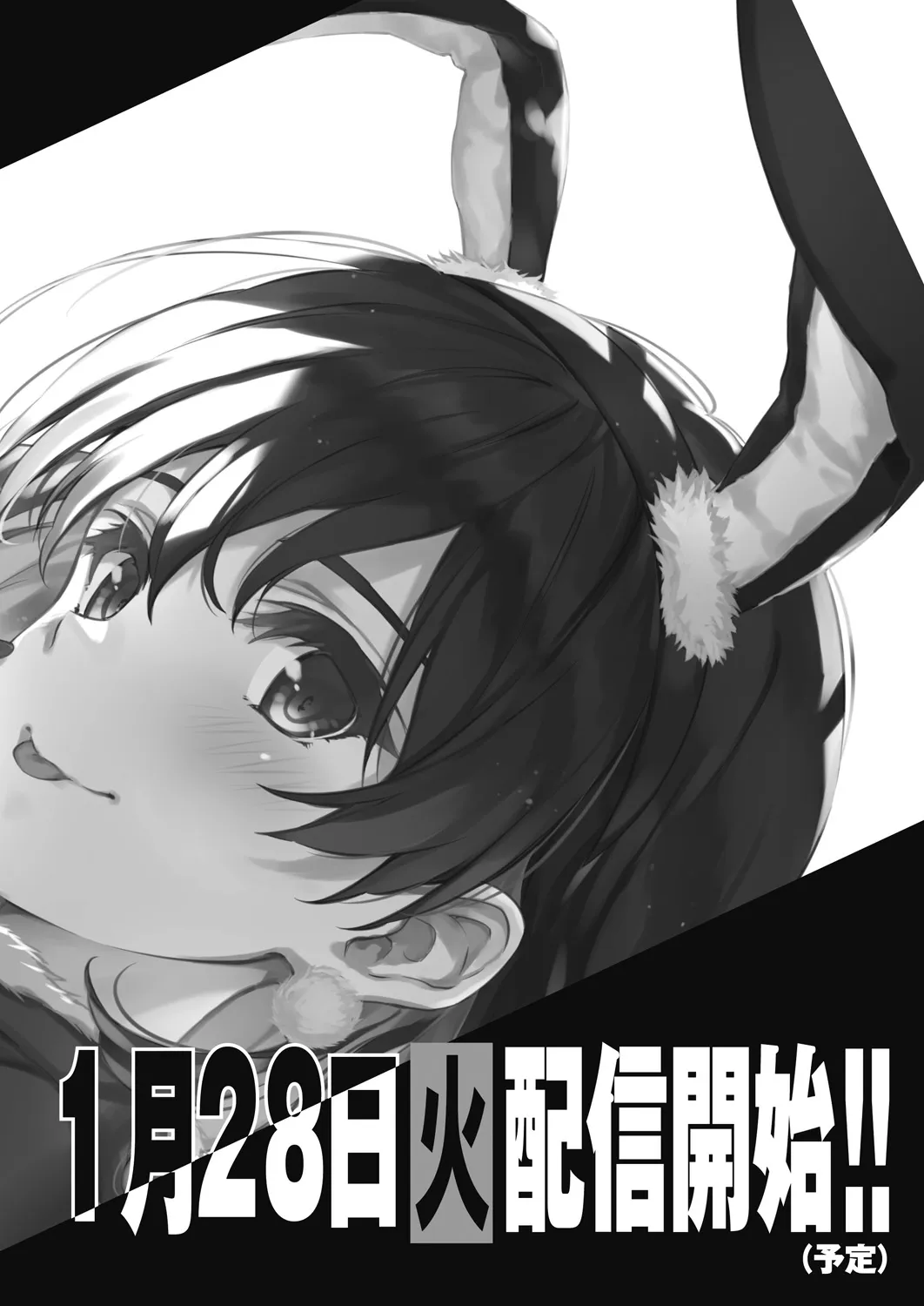 Page 517
