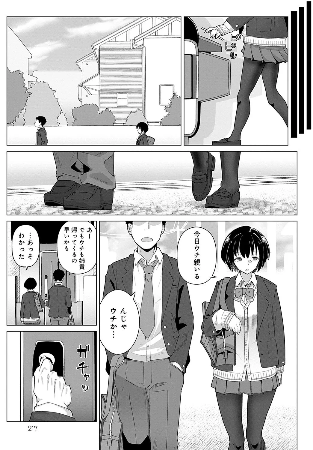 Page 217
