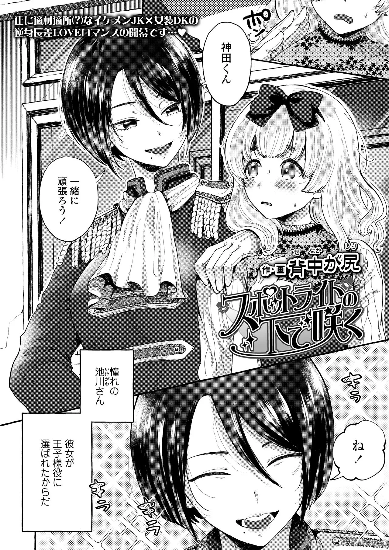 Page 241