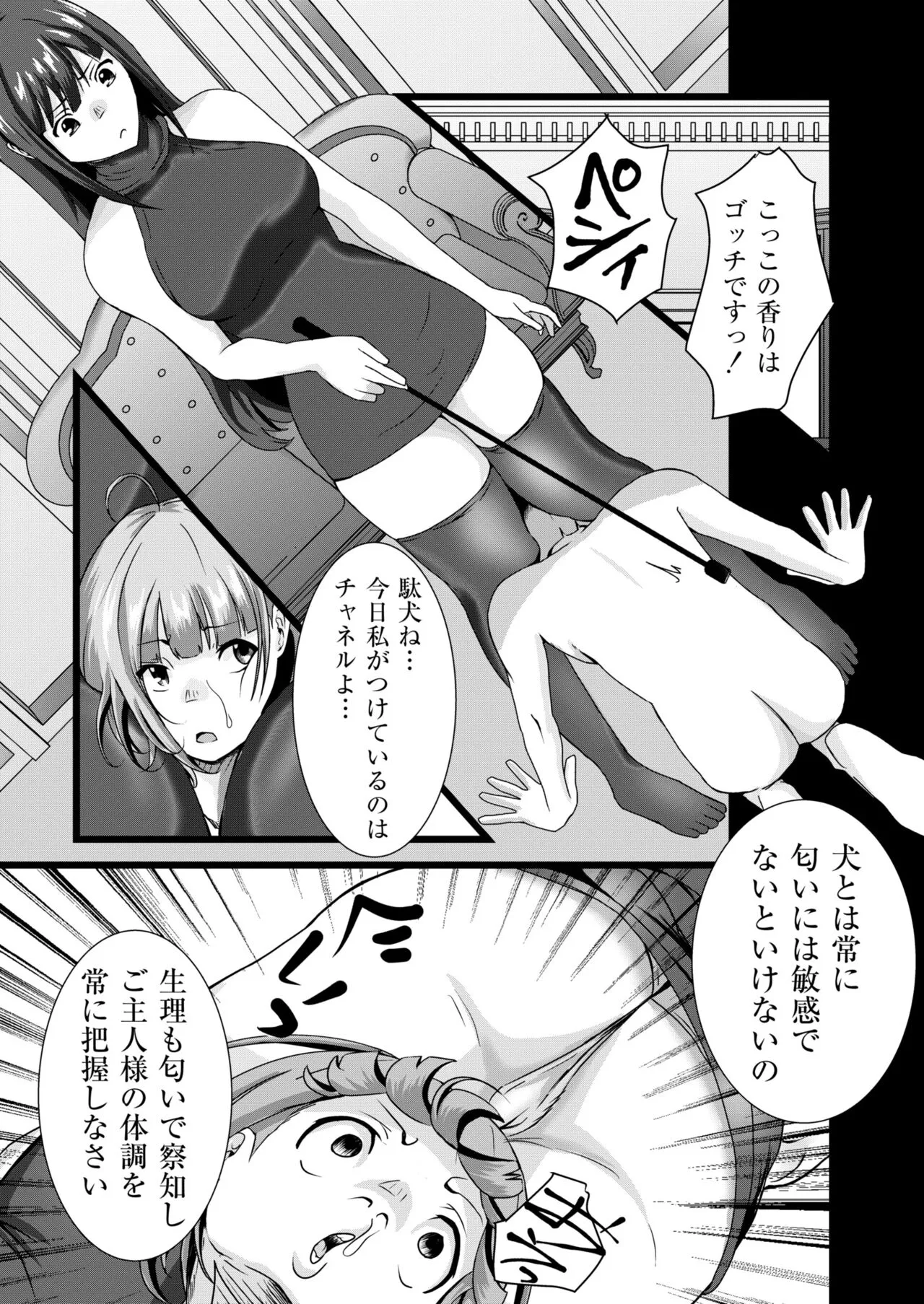 Page 276