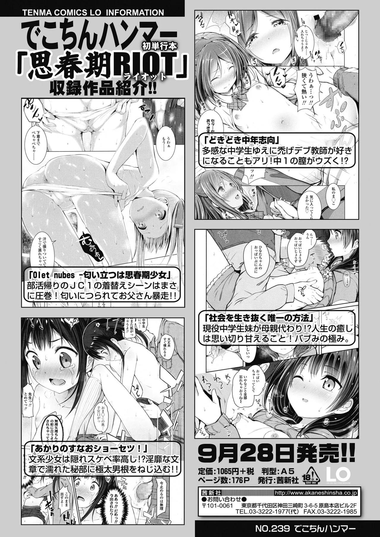 Page 411