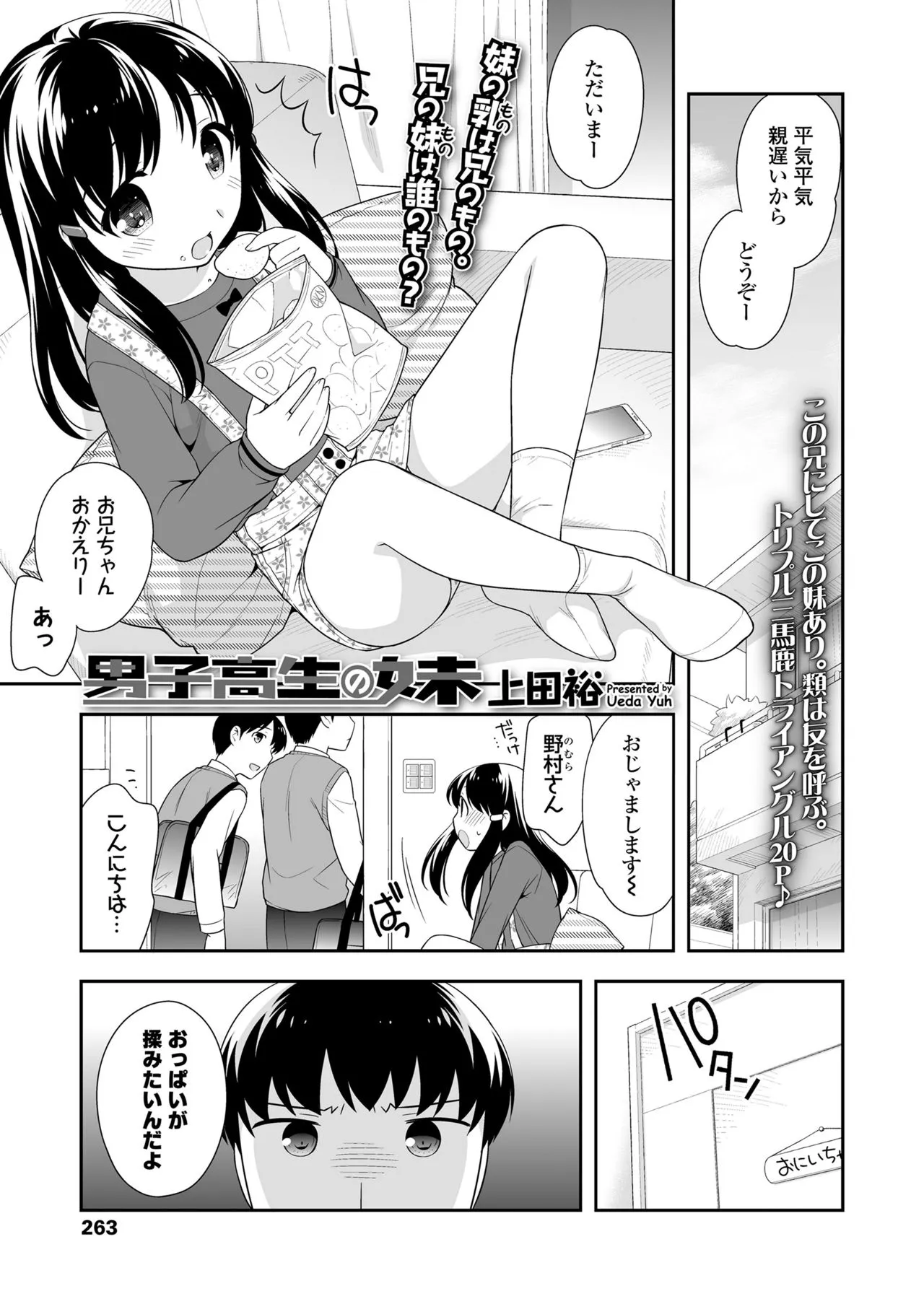 Page 262