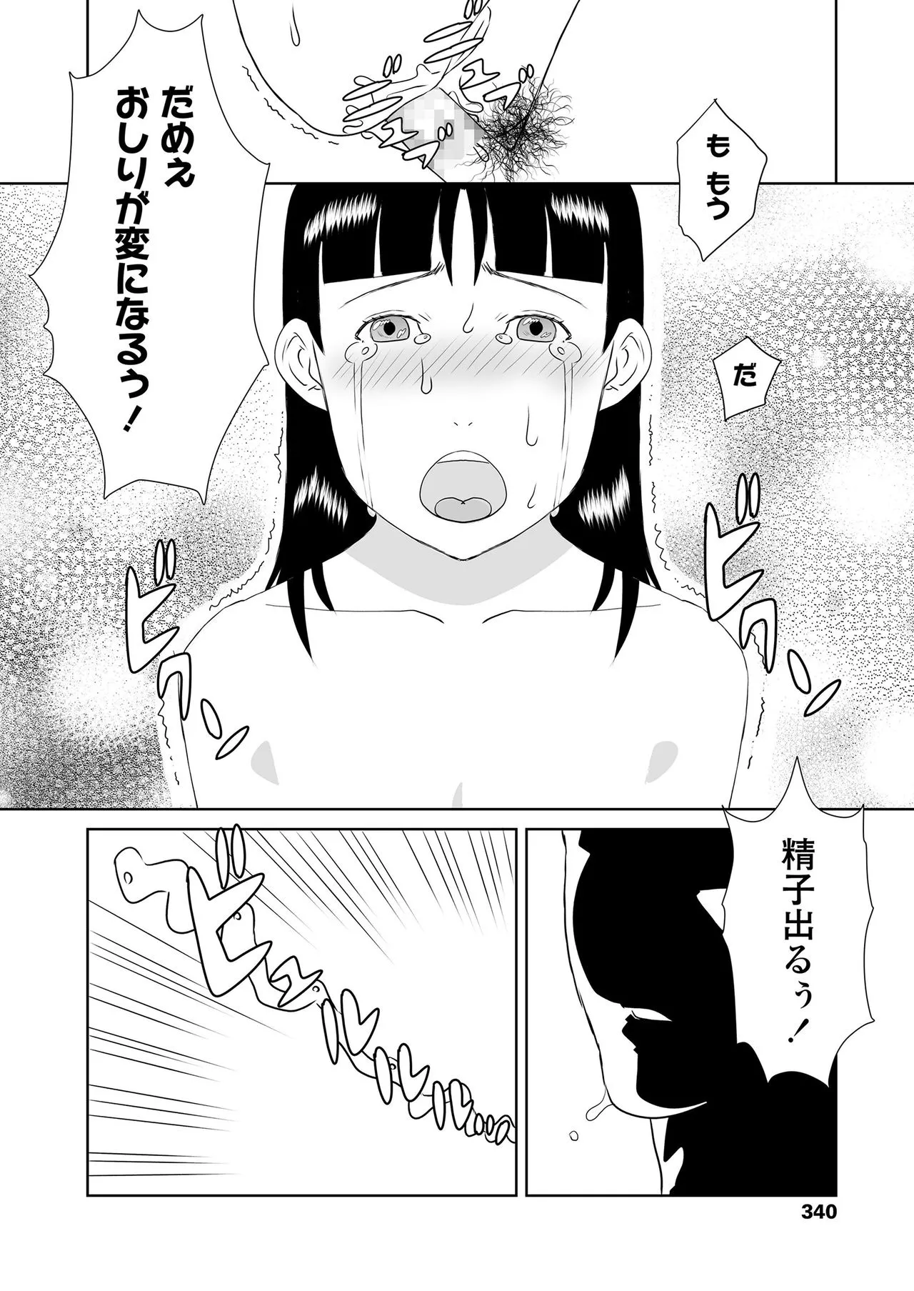 Page 339