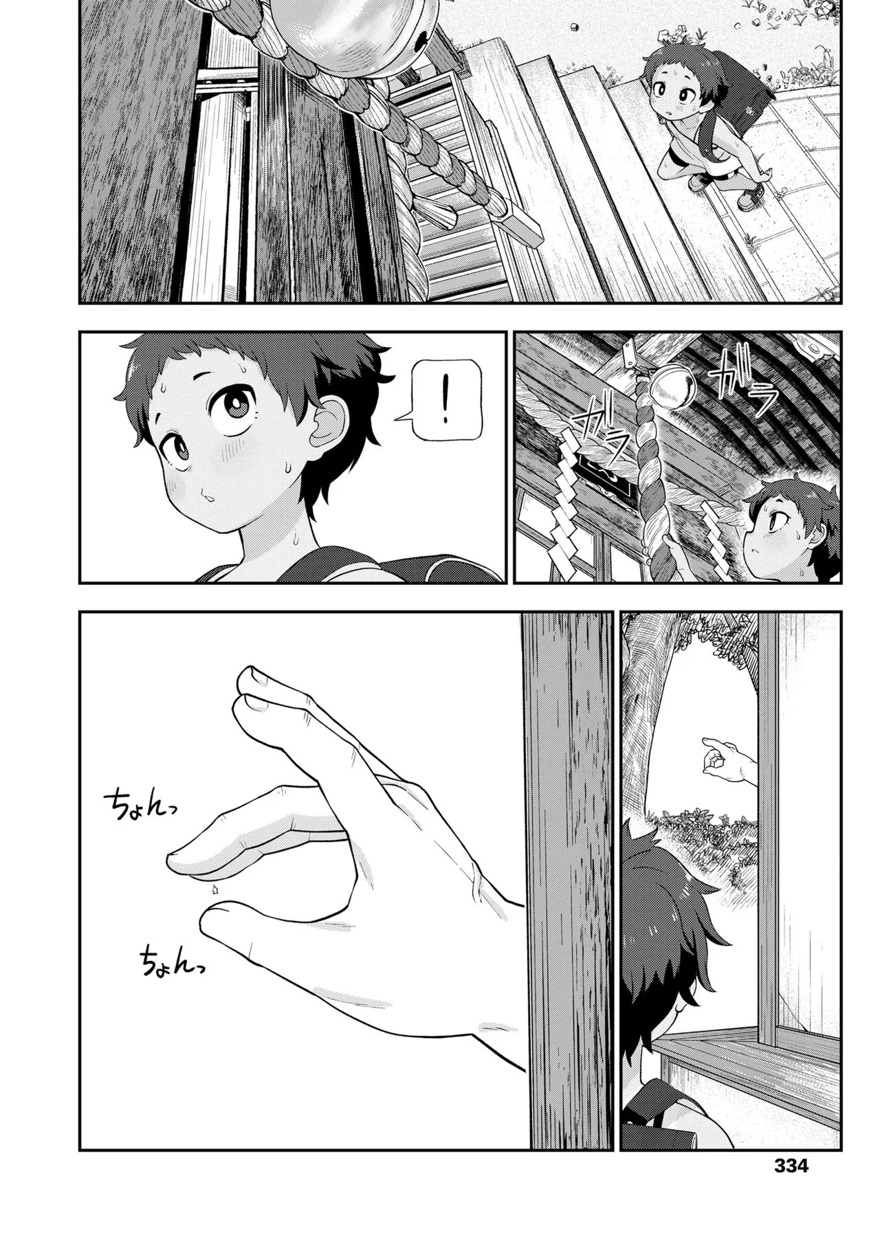 Page 333