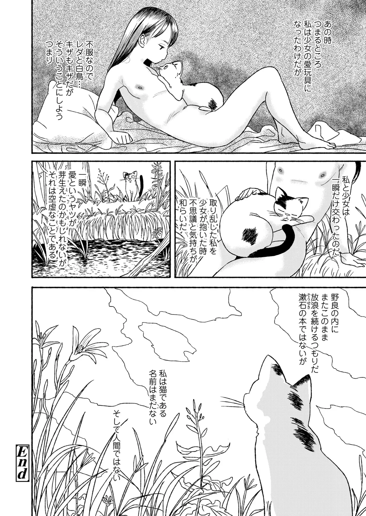Page 251