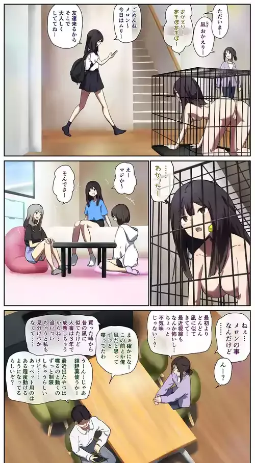 ペット人畜のいる家