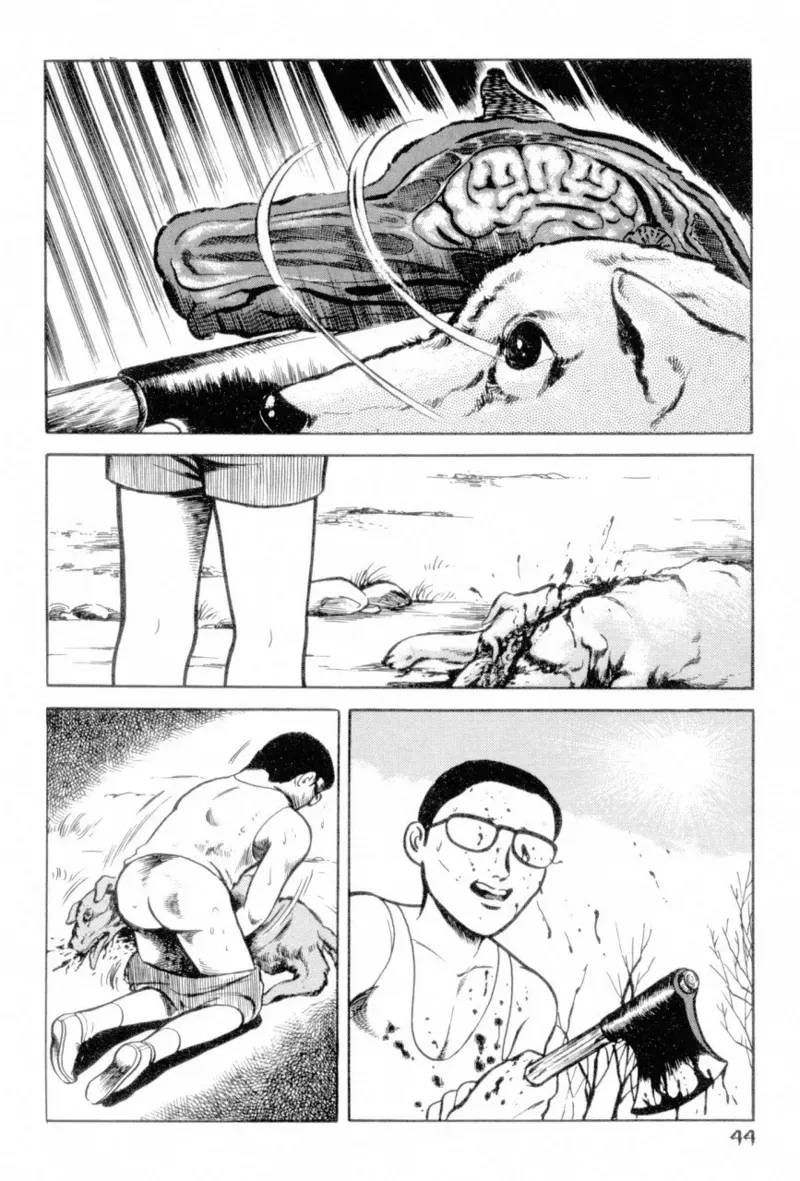 Page 45