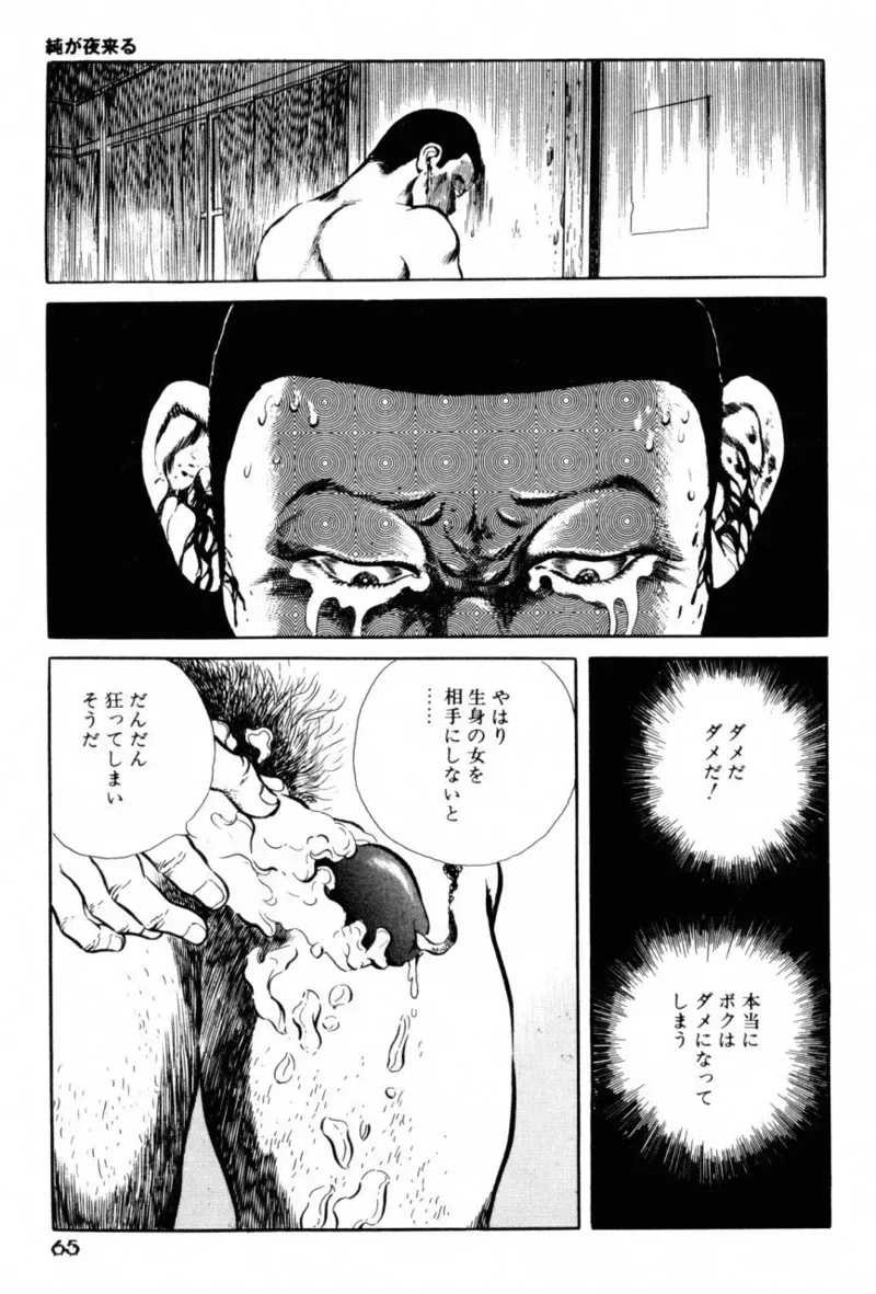 Page 66