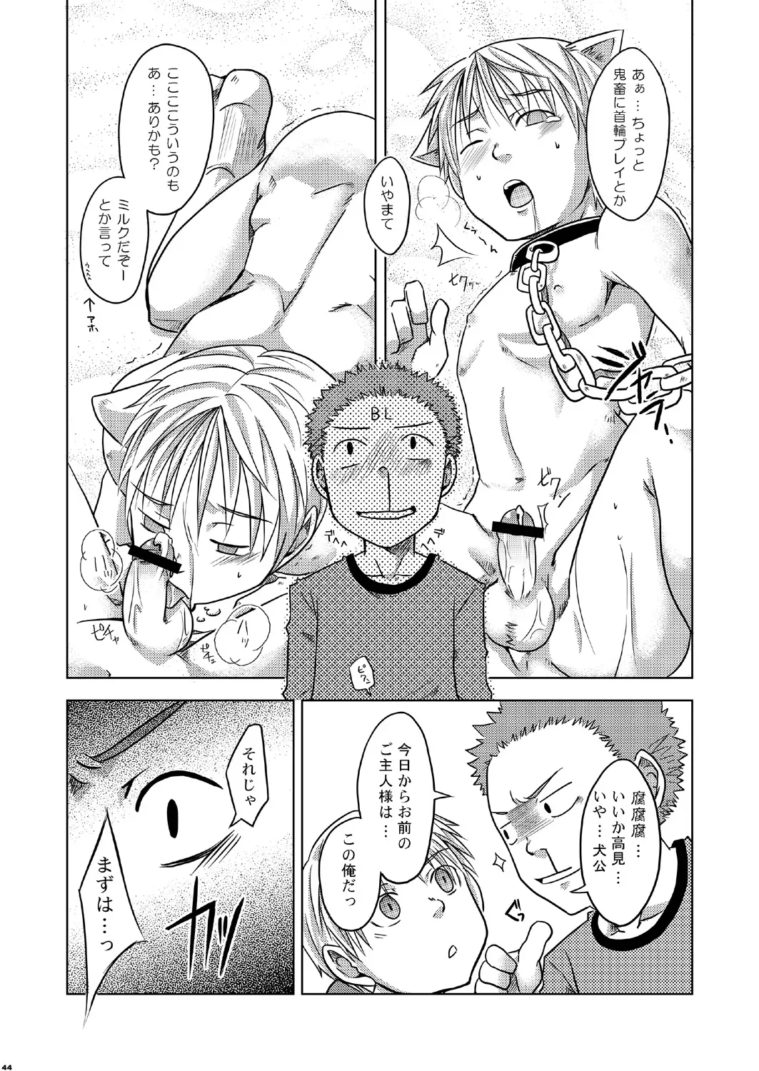 Page 43