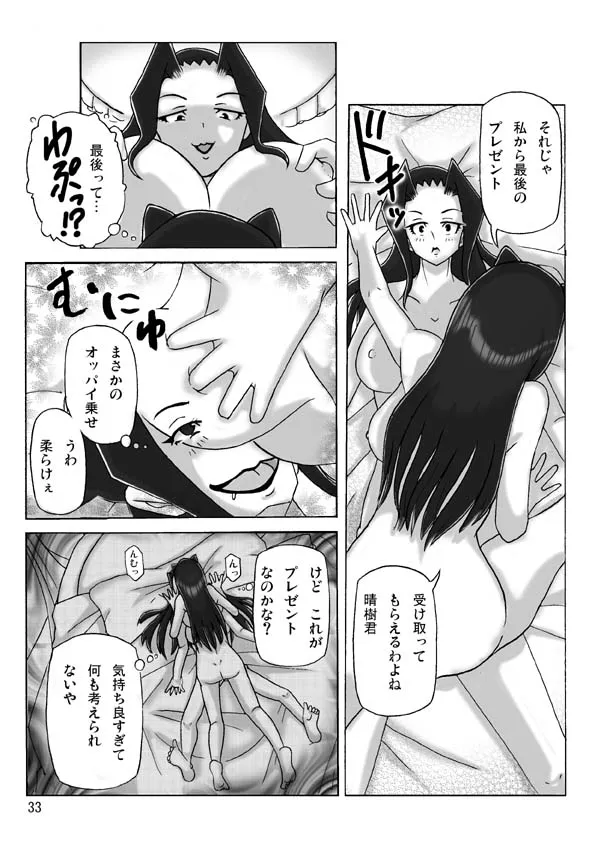 Page 33