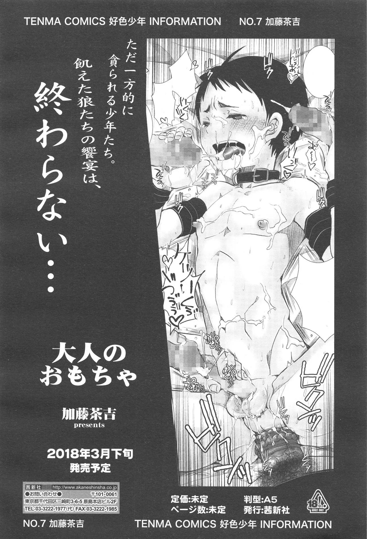 Page 261