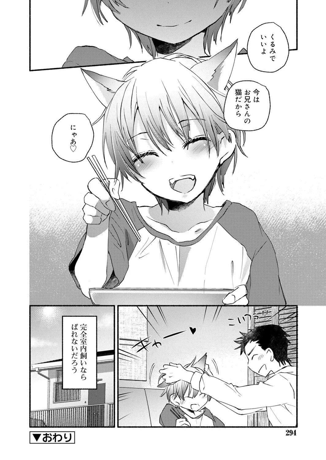 Page 294