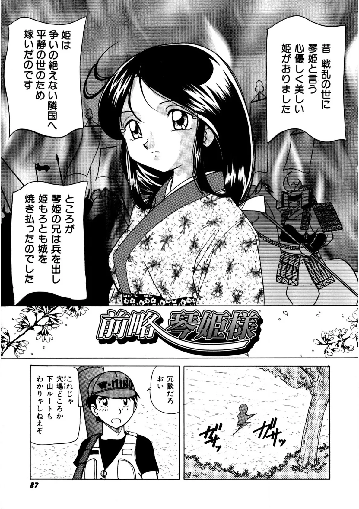 Page 85