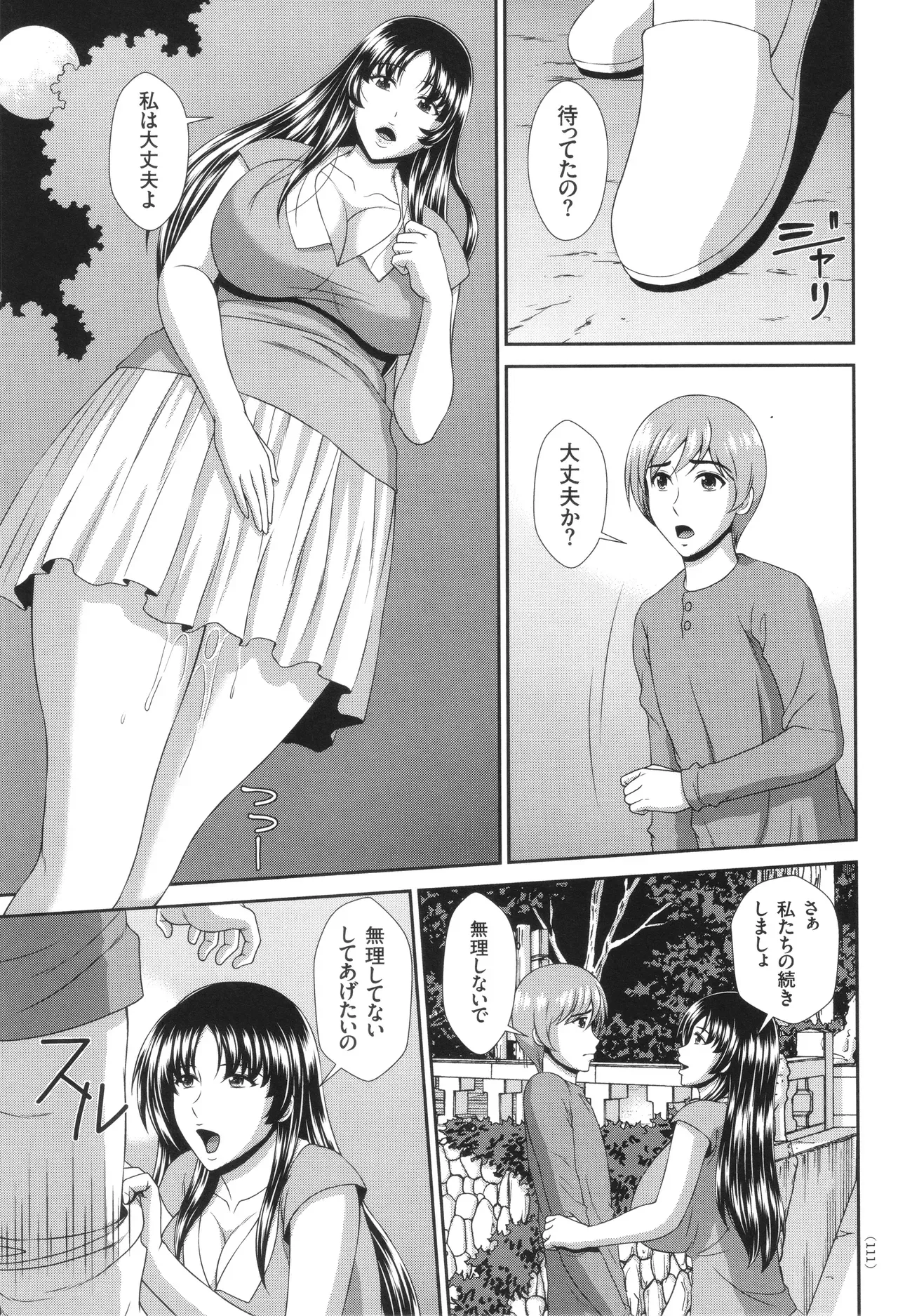 Page 111