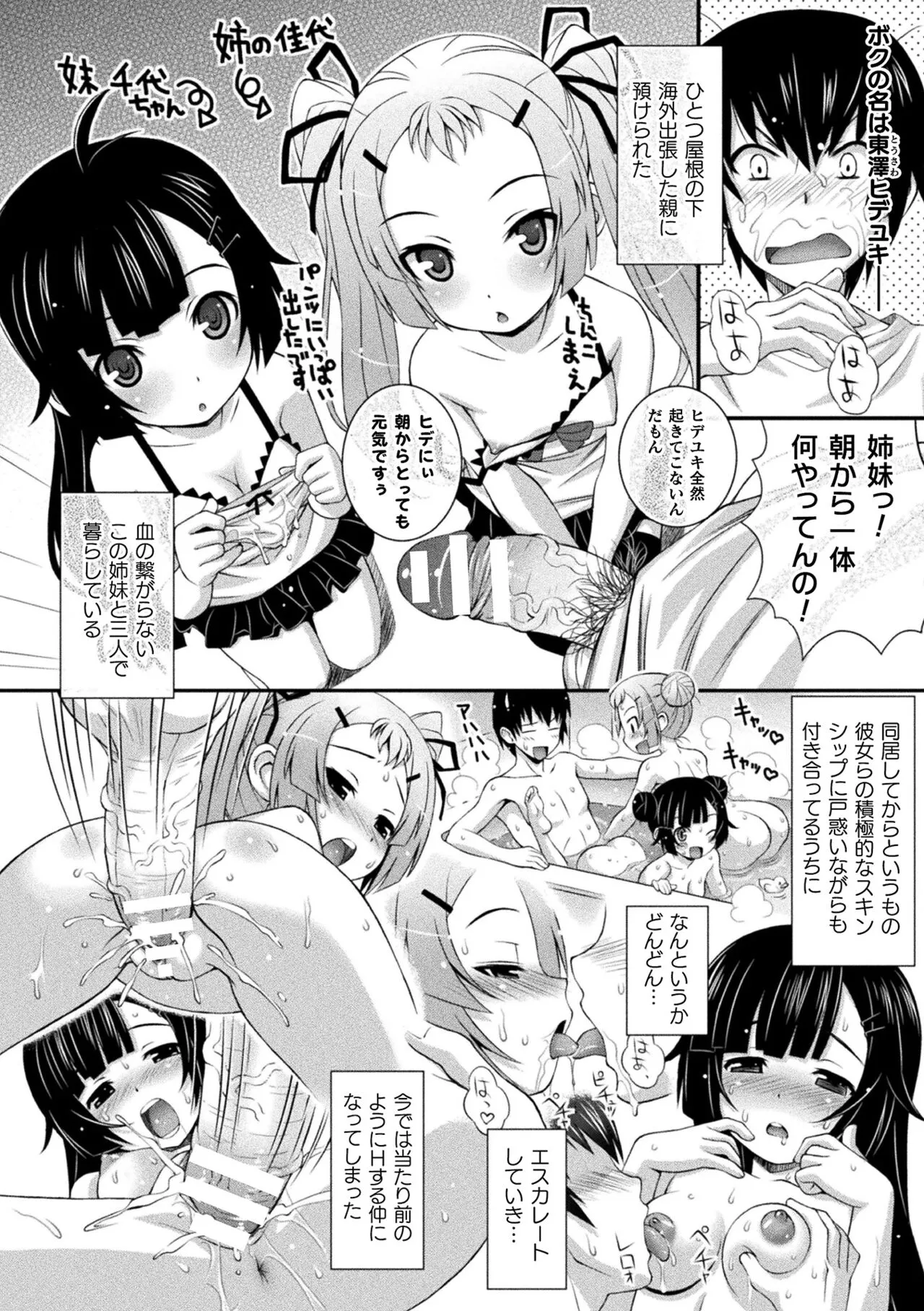 Page 233