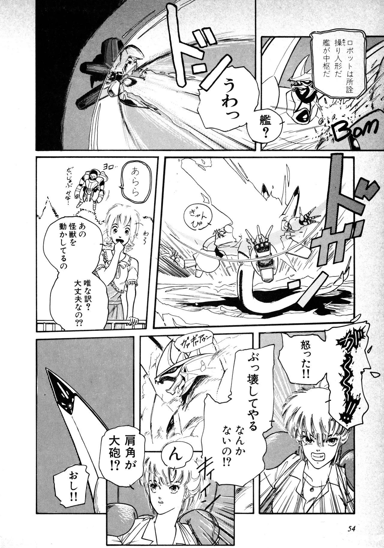 Page 55