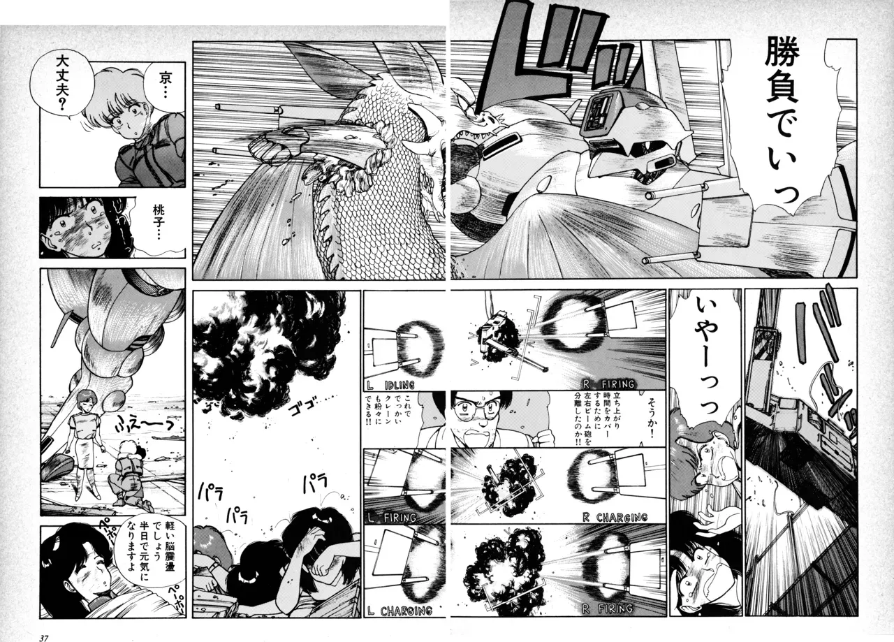 Page 39