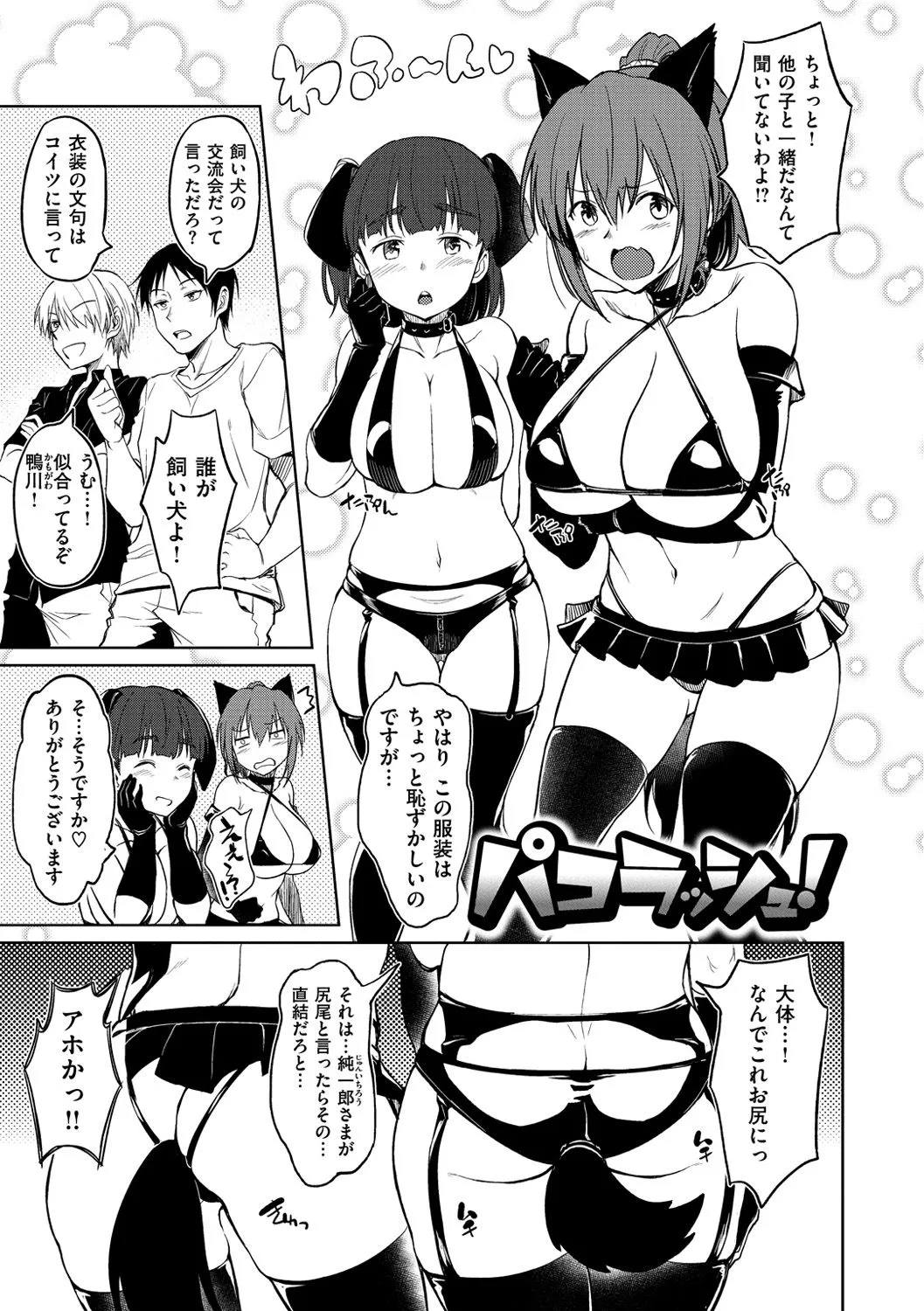 Page 221