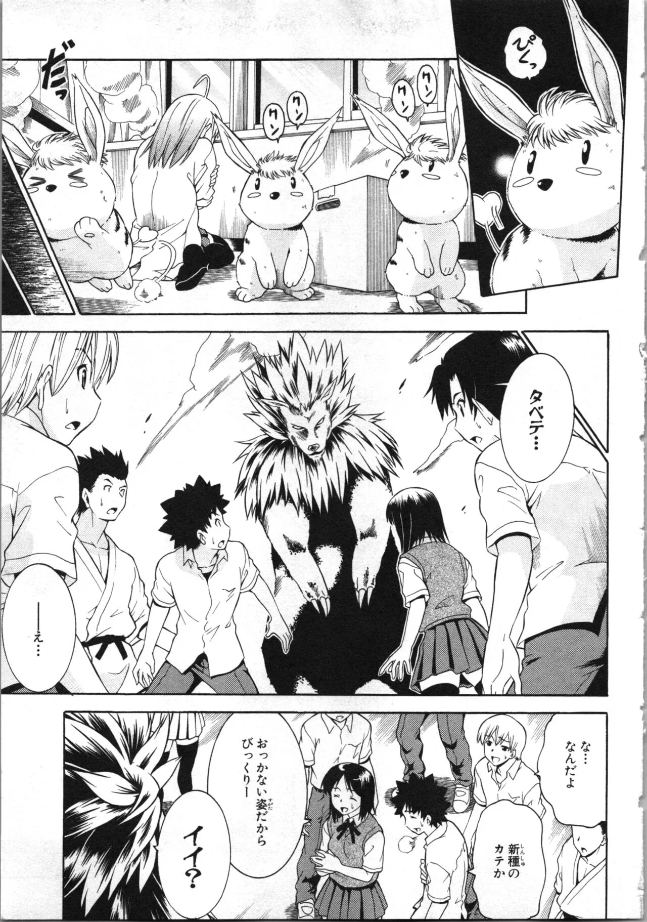 Page 97