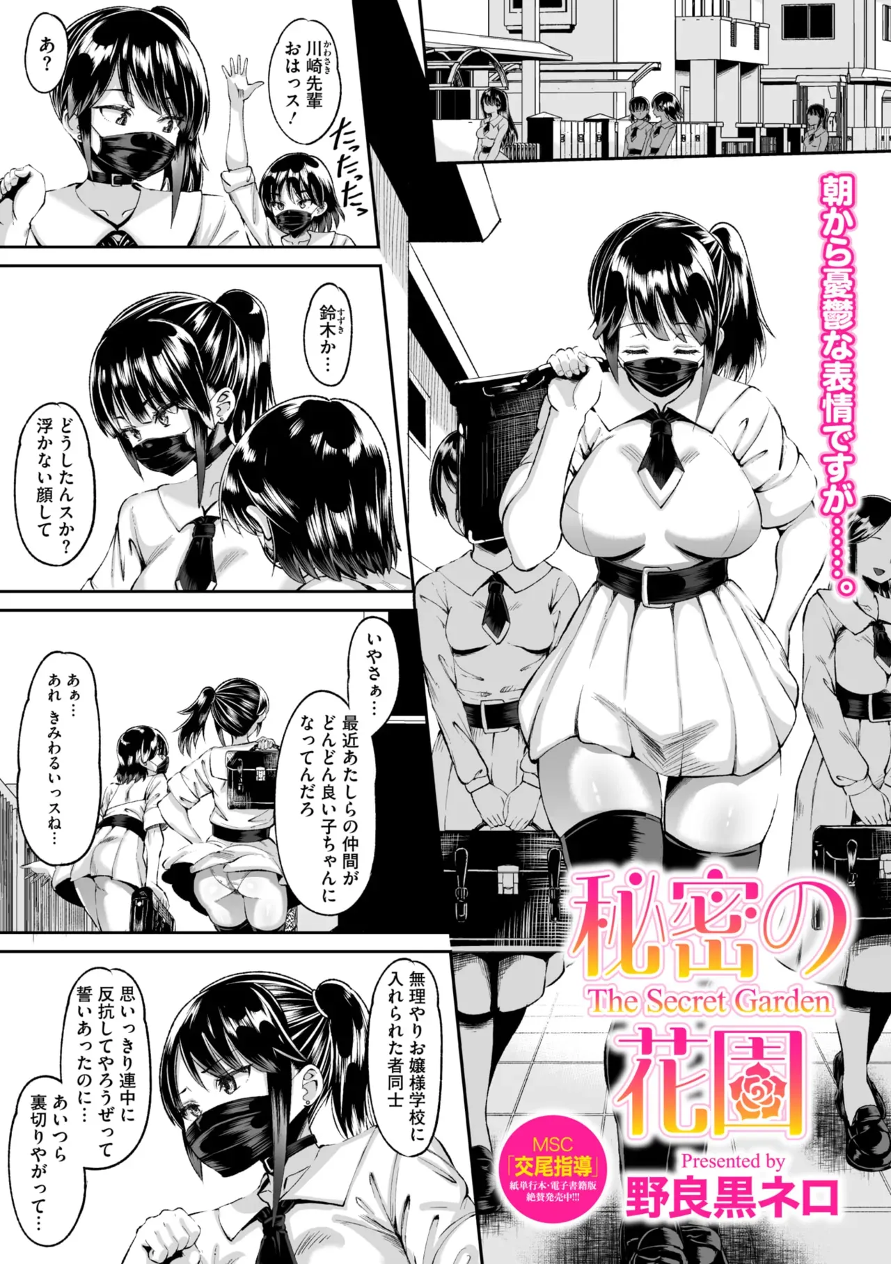 Page 251
