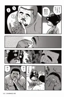 Page 111