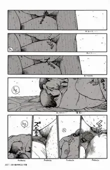 Page 217