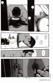 Page 232