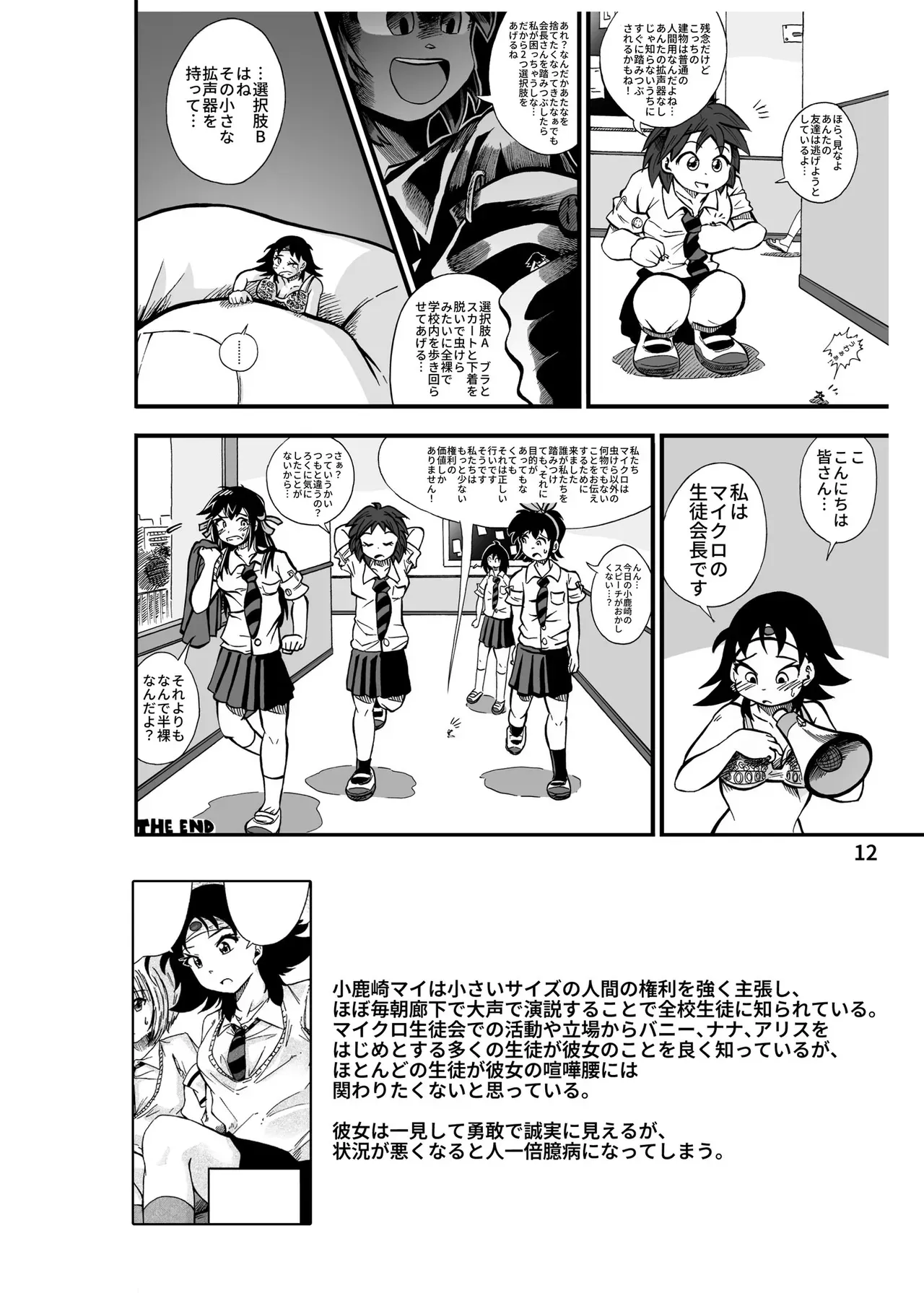 Page 12