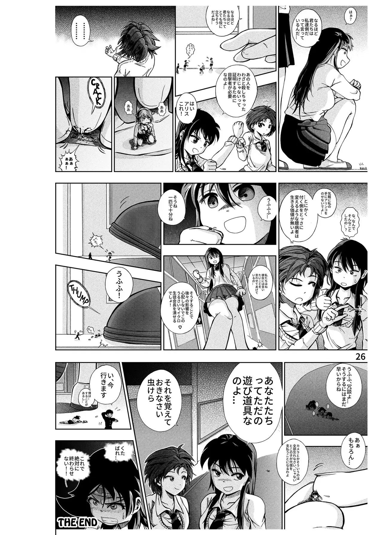 Page 26