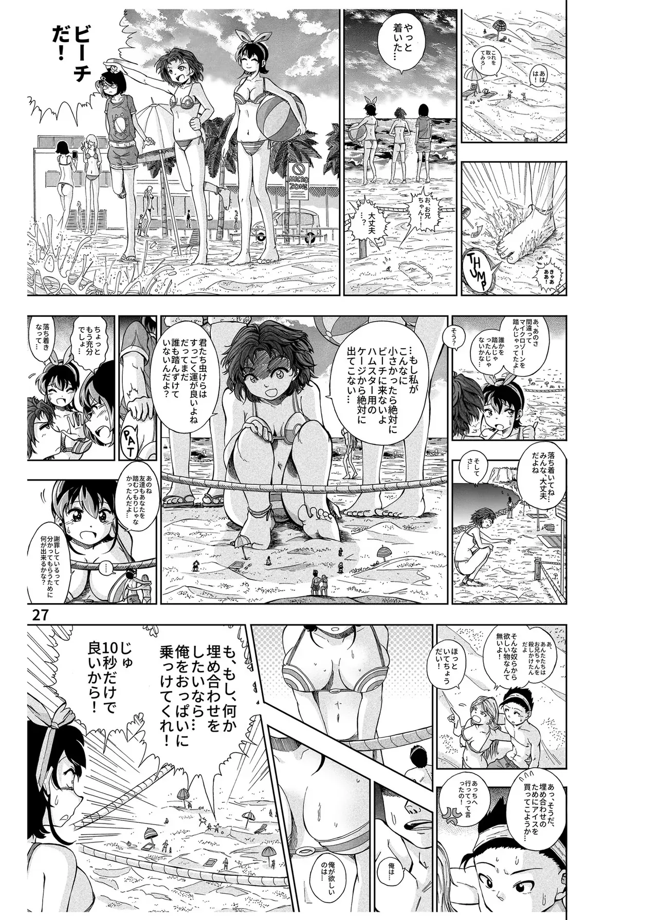 Page 27