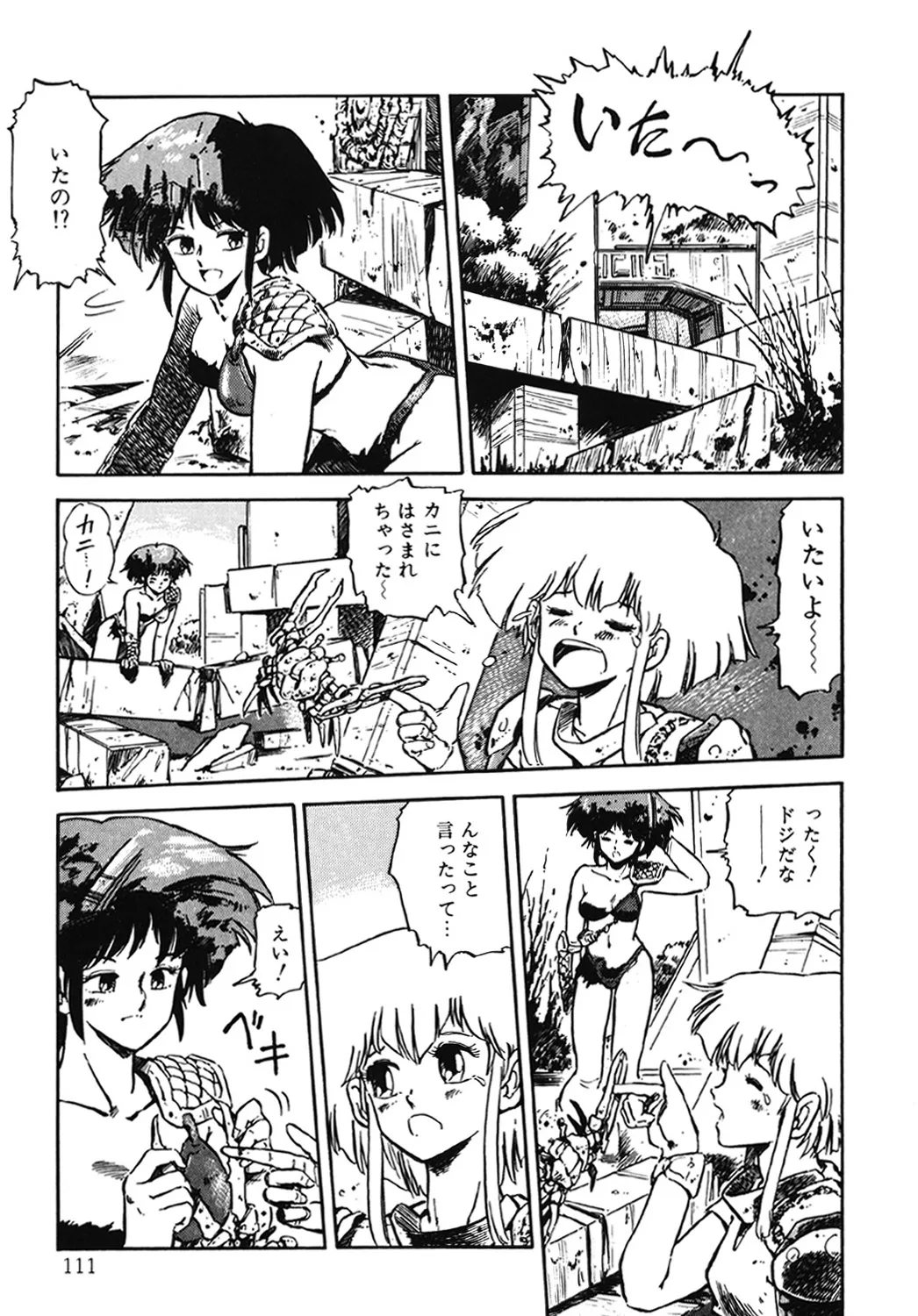Page 111