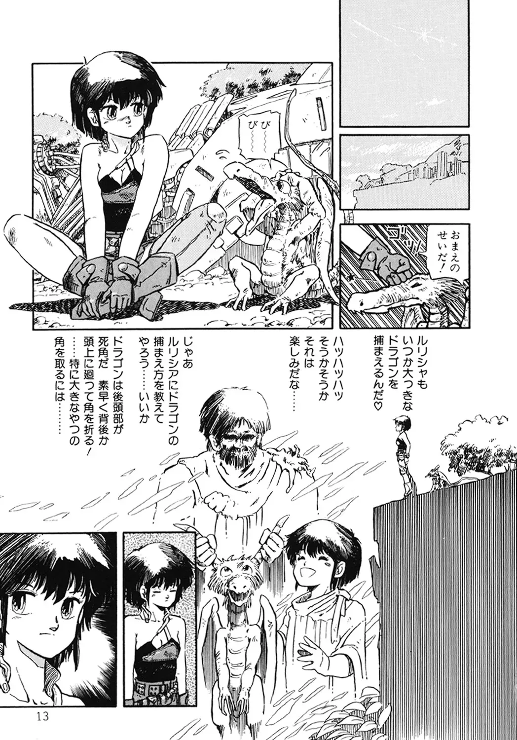 Page 13