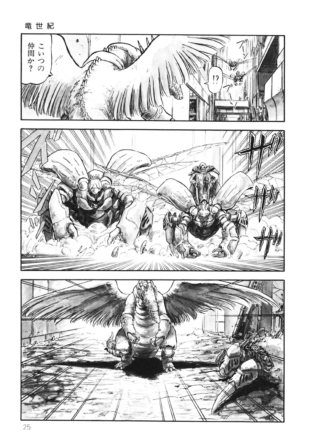 Page 25
