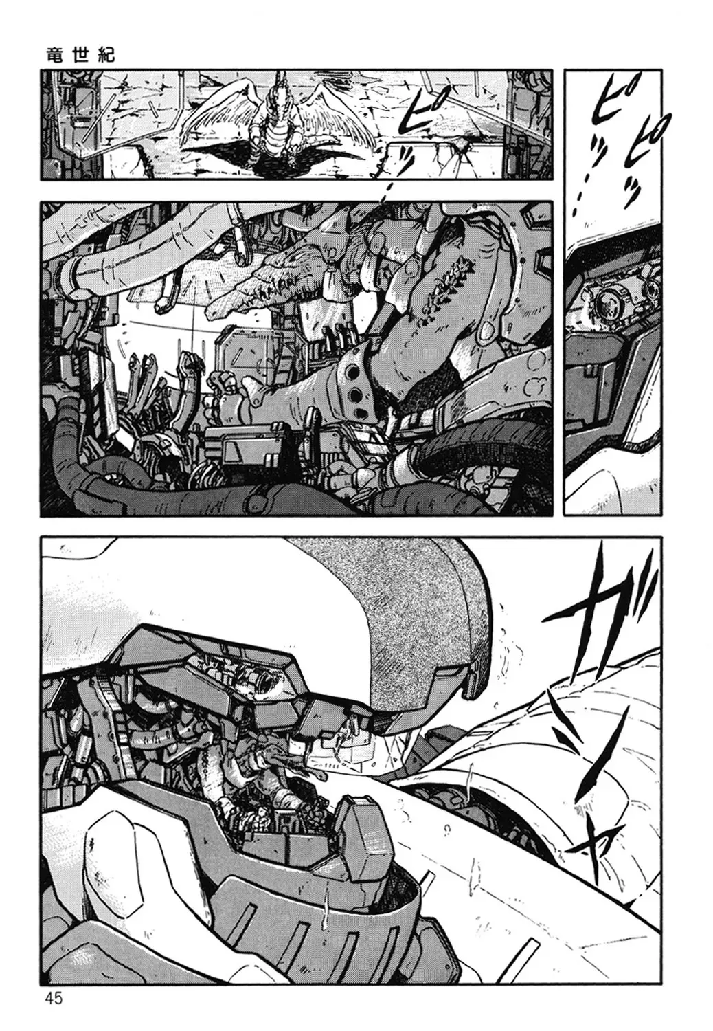 Page 45