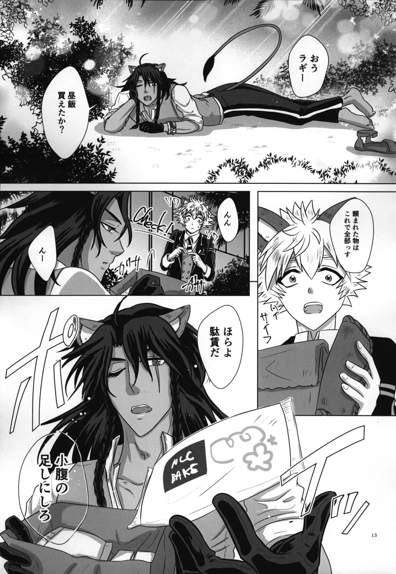 Page 13