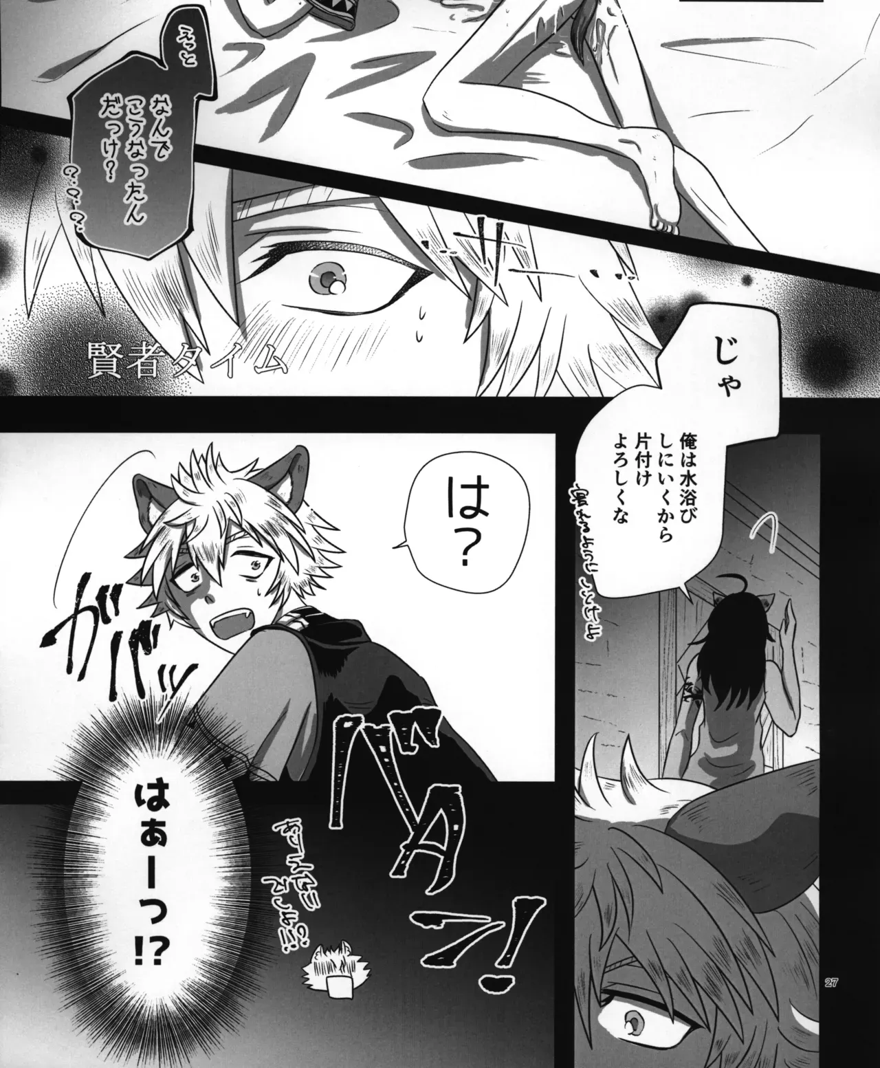 Page 27