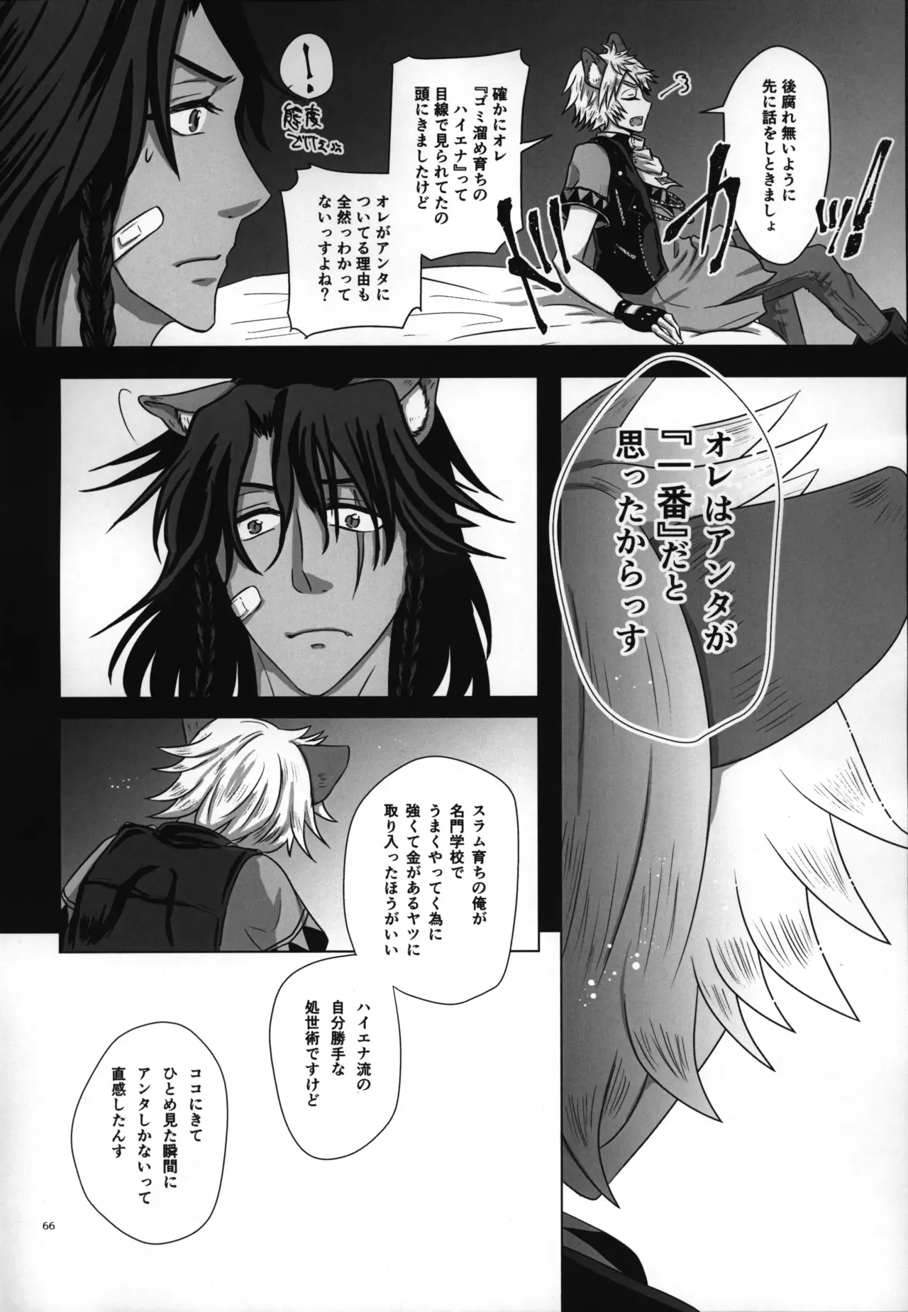 Page 66