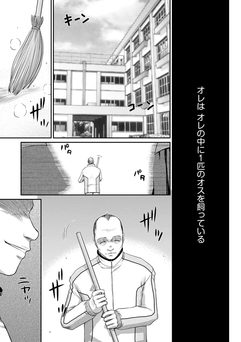 Page 246