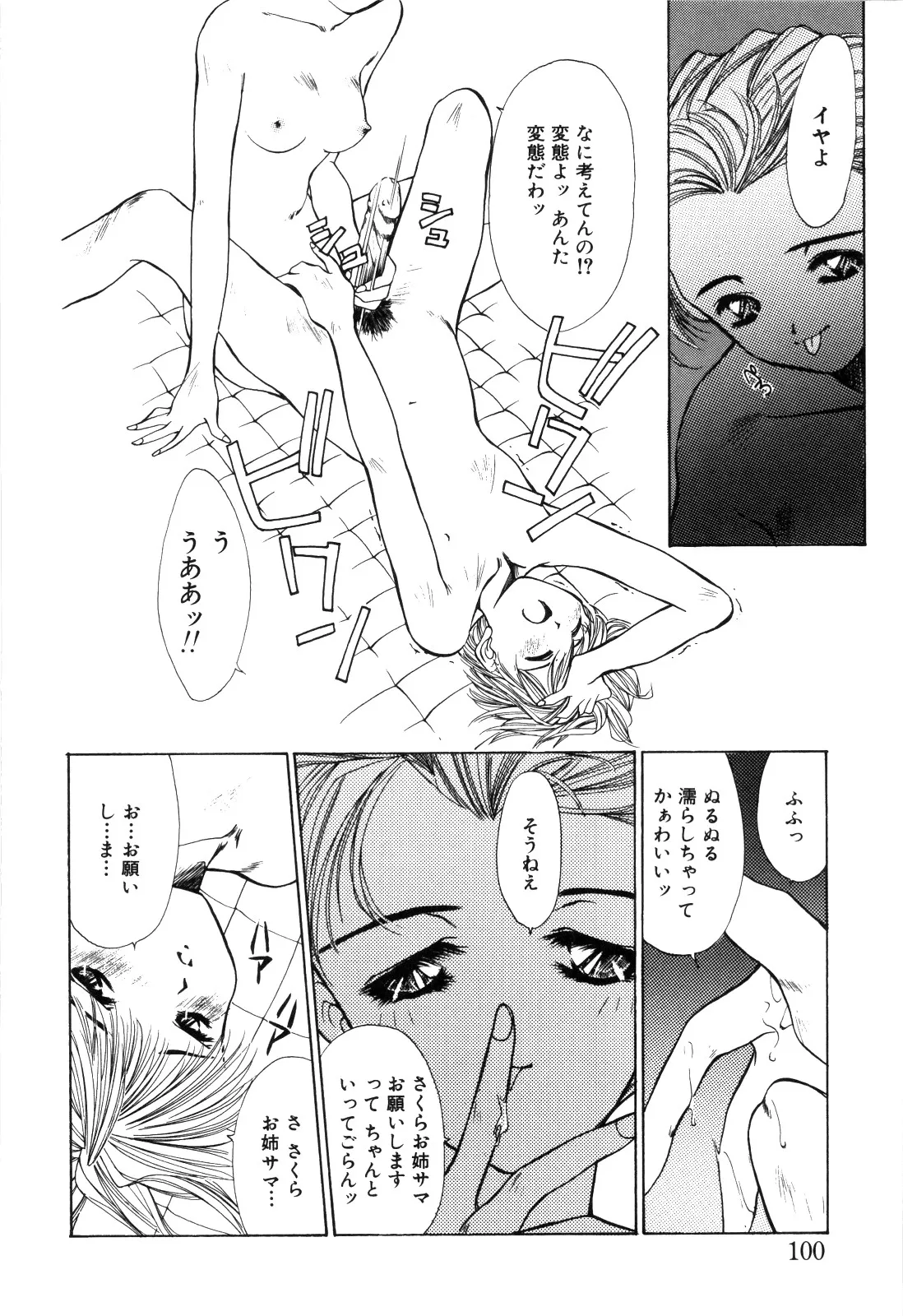 Page 101
