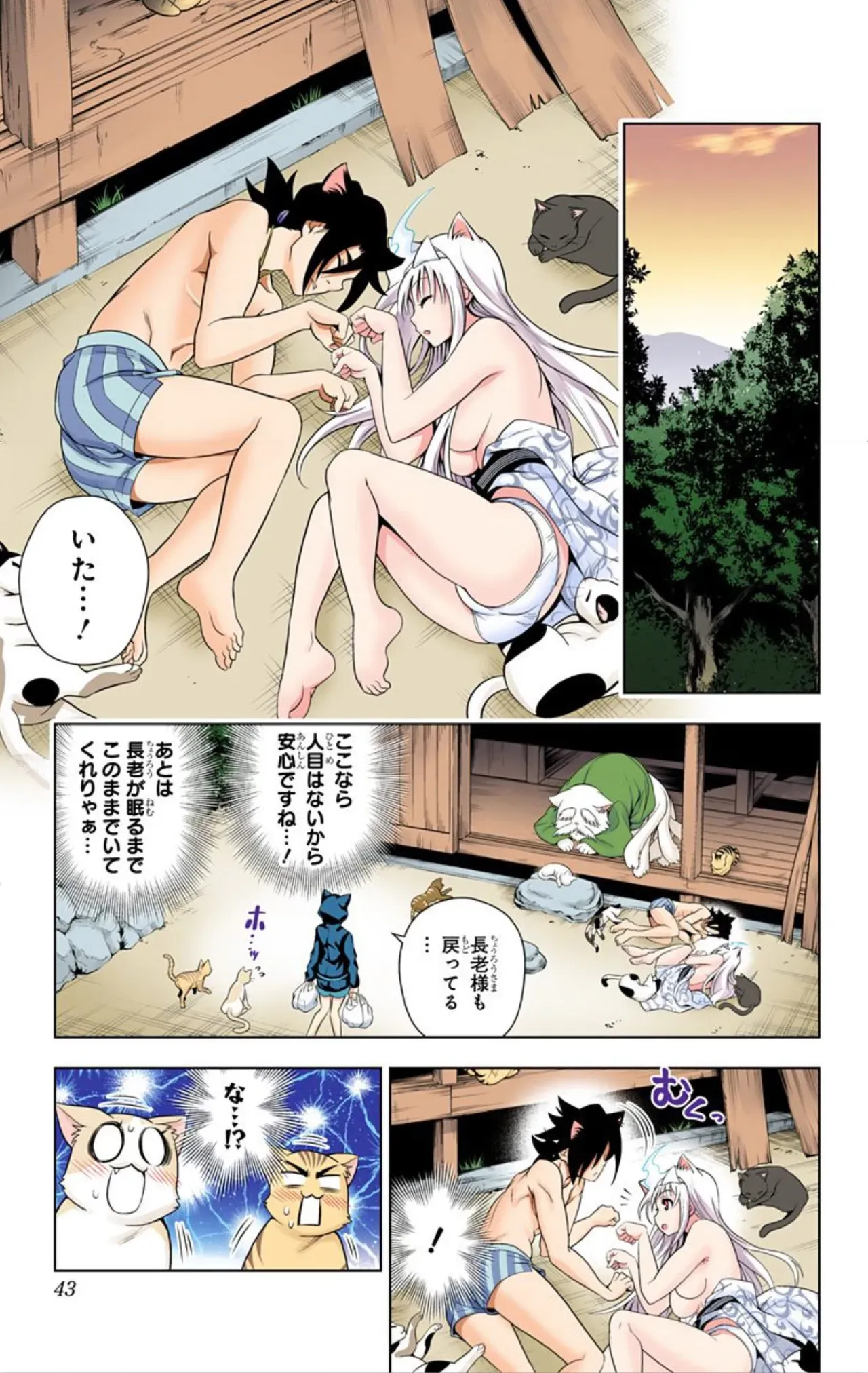 Page 491