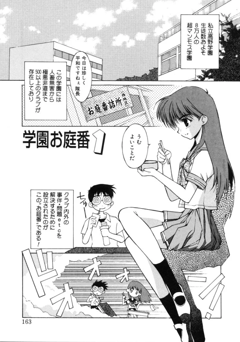 Page 161